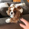 hermione_4848
