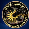 King,s aquatics