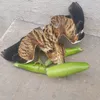 uynhbabau06