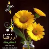 user9541657055114