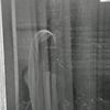 tazzra_a16