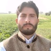 sarfrazhussain199