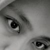dandelion_ssssss