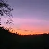 zai_rosi