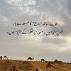 nadeemshoro4636