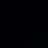 _silvixs.bz