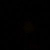 mina_shaim