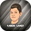 kaneni_gamer