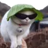 hey_man66