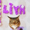 cat__liyaa