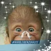 ttsecureti2