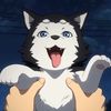 puppydog4470