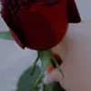 user1610320450751