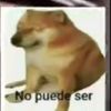 mattbasado0
