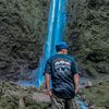 ddconsalfis