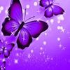 simdi_6