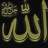 mdshorab936
