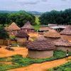edatoyi
