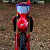 ronaldfernandez255