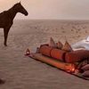 waleed9640