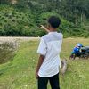 setim270