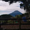 wayunepol