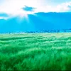 tiennguyen_01.91