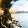berliantomorvi