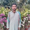 666hafizbilal