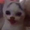 prrostooebl