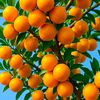 abdul.rehman8348