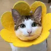 uncle_baofun4