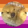 gingercat2202