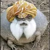 wesallkhan12