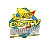 cctvbogor99