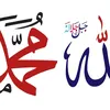 shanaz.malik1