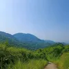 duongzalo