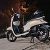 sanz10raden