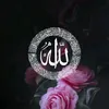 user8558011869774