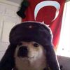 swoz_yks
