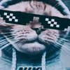 riskigans198