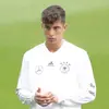 kai_lukas_havertz____fan