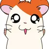 coolninahamster