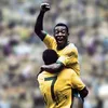 pele...eeditor