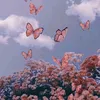 dygkqdanrmgu