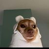 sisonke_m8