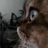 hadiyx_1