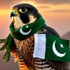 khan1122448
