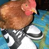 aimeucuuuuuuuuuuuuuuuu