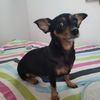 rosarioandrade2807